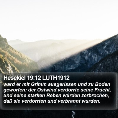 Hesekiel 19:12 LUTH1912 Bible Verse Image