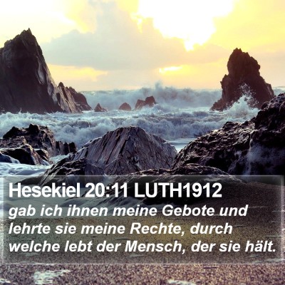 Hesekiel 20:11 LUTH1912 Bible Verse Image
