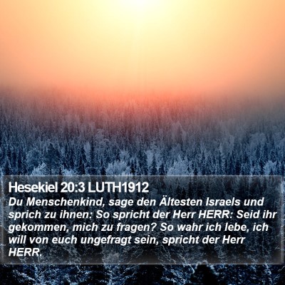 Hesekiel 20:3 LUTH1912 Bible Verse Image