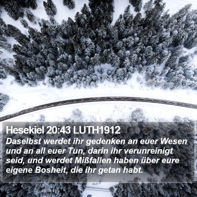 Hesekiel 20:43 LUTH1912 Bible Verse Image