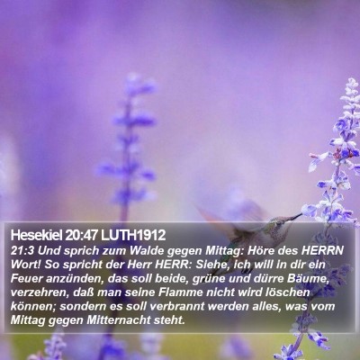 Hesekiel 20:47 LUTH1912 Bible Verse Image
