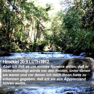 Hesekiel 20:9 LUTH1912 Bible Verse Image