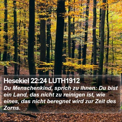 Hesekiel 22:24 LUTH1912 Bible Verse Image