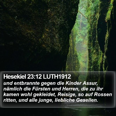 Hesekiel 23:12 LUTH1912 Bible Verse Image