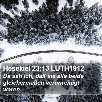 Hesekiel 23:13 LUTH1912 Bible Verse Image
