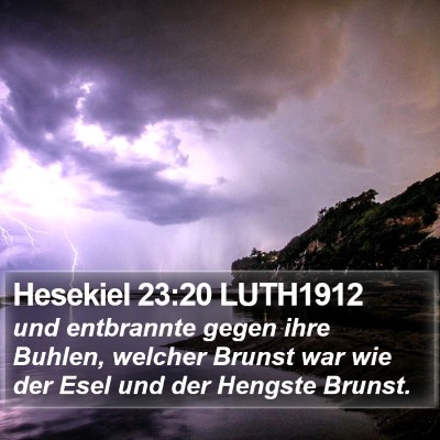 Hesekiel 23:20 LUTH1912 Bible Verse Image