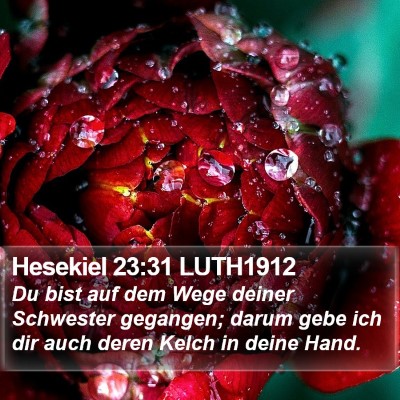 Hesekiel 23:31 LUTH1912 Bible Verse Image