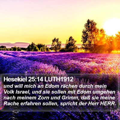 Hesekiel 25:14 LUTH1912 Bible Verse Image