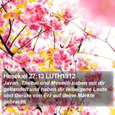 Hesekiel 27:13 LUTH1912 Bible Verse Image