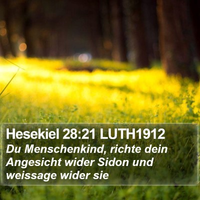 Hesekiel 28:21 LUTH1912 Bible Verse Image