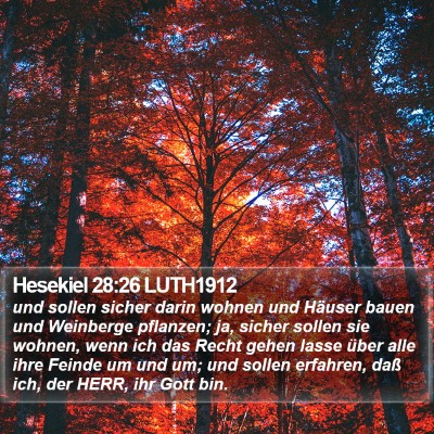 Hesekiel 28:26 LUTH1912 Bible Verse Image
