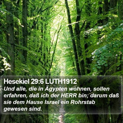 Hesekiel 29:6 LUTH1912 Bible Verse Image