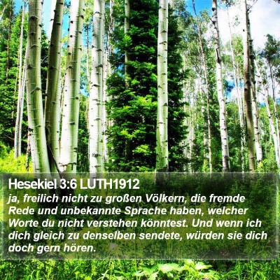 Hesekiel 3:6 LUTH1912 Bible Verse Image