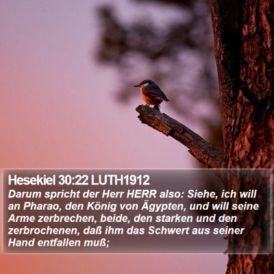 Hesekiel 30:22 LUTH1912 Bible Verse Image