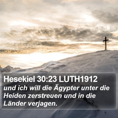 Hesekiel 30:23 LUTH1912 Bible Verse Image
