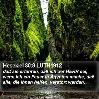Hesekiel 30:8 LUTH1912 Bible Verse Image