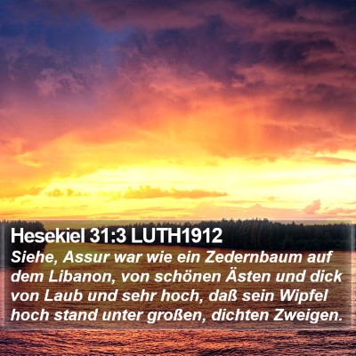 Hesekiel 31:3 LUTH1912 Bible Verse Image