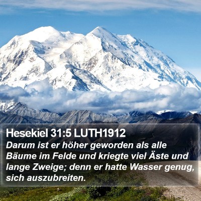 Hesekiel 31:5 LUTH1912 Bible Verse Image