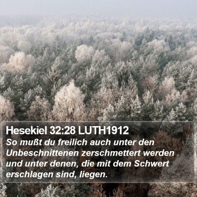 Hesekiel 32:28 LUTH1912 Bible Verse Image