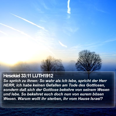 Hesekiel 33:11 LUTH1912 Bible Verse Image