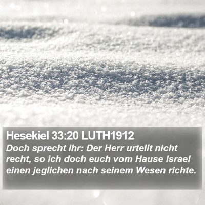 Hesekiel 33:20 LUTH1912 Bible Verse Image