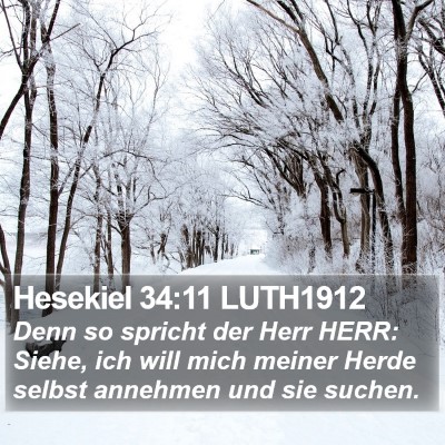 Hesekiel 34:11 LUTH1912 Bible Verse Image