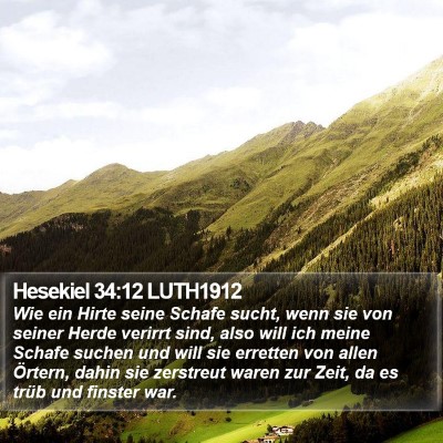 Hesekiel 34:12 LUTH1912 Bible Verse Image
