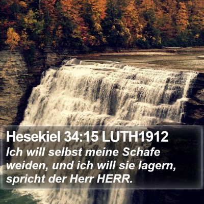 Hesekiel 34:15 LUTH1912 Bible Verse Image