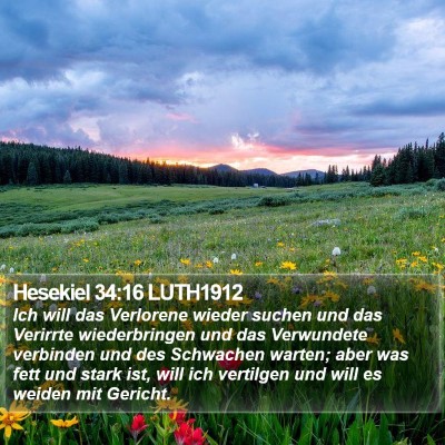 Hesekiel 34:16 LUTH1912 Bible Verse Image
