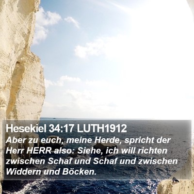 Hesekiel 34:17 LUTH1912 Bible Verse Image