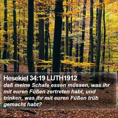 Hesekiel 34:19 LUTH1912 Bible Verse Image