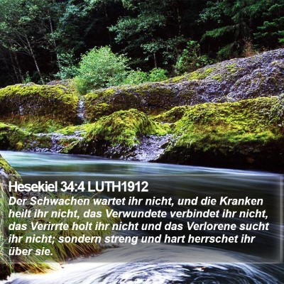 Hesekiel 34:4 LUTH1912 Bible Verse Image