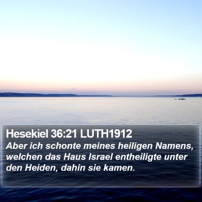 Hesekiel 36:21 LUTH1912 Bible Verse Image
