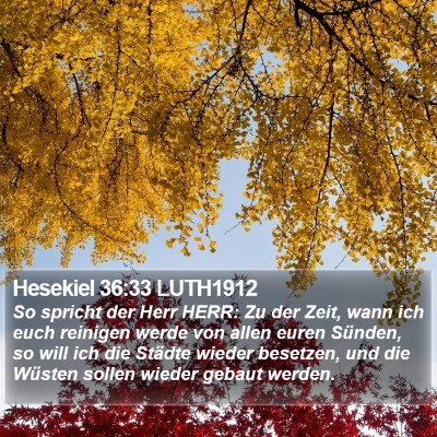 Hesekiel 36:33 LUTH1912 Bible Verse Image