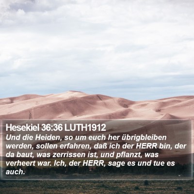 Hesekiel 36:36 LUTH1912 Bible Verse Image
