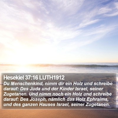 Hesekiel 37:16 LUTH1912 Bible Verse Image