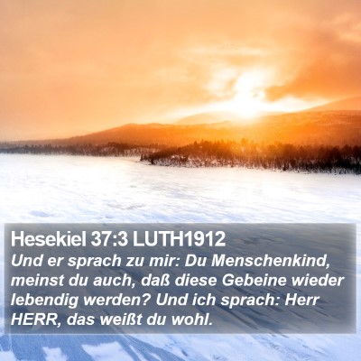 Hesekiel 37:3 LUTH1912 Bible Verse Image