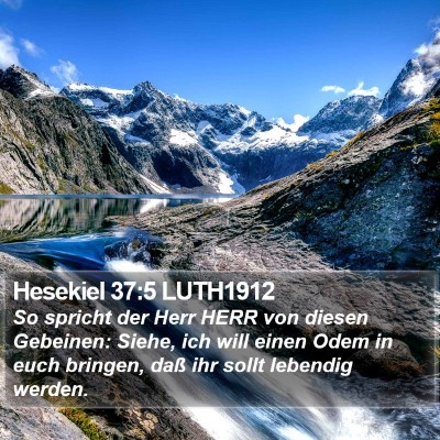 Hesekiel 37:5 LUTH1912 Bible Verse Image
