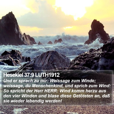 Hesekiel 37:9 LUTH1912 Bible Verse Image