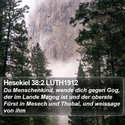 Hesekiel 38:2 LUTH1912 Bible Verse Image