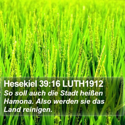 Hesekiel 39:16 LUTH1912 Bible Verse Image