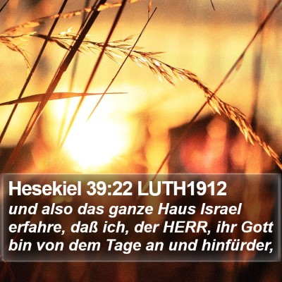 Hesekiel 39:22 LUTH1912 Bible Verse Image