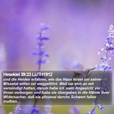 Hesekiel 39:23 LUTH1912 Bible Verse Image
