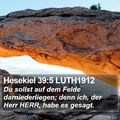 Hesekiel 39:5 LUTH1912 Bible Verse Image