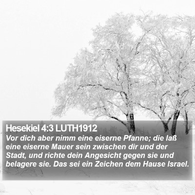 Hesekiel 4:3 LUTH1912 Bible Verse Image