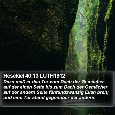 Hesekiel 40:13 LUTH1912 Bible Verse Image