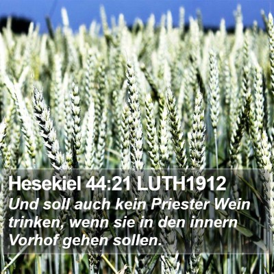 Hesekiel 44:21 LUTH1912 Bible Verse Image