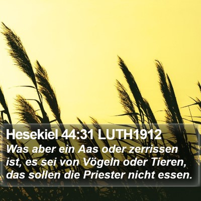 Hesekiel 44:31 LUTH1912 Bible Verse Image