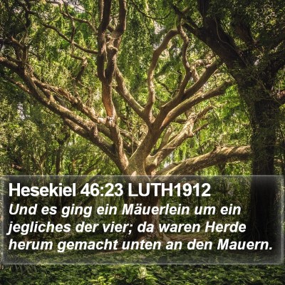 Hesekiel 46:23 LUTH1912 Bible Verse Image