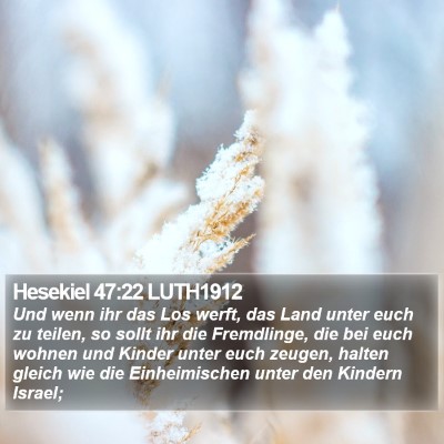 Hesekiel 47:22 LUTH1912 Bible Verse Image